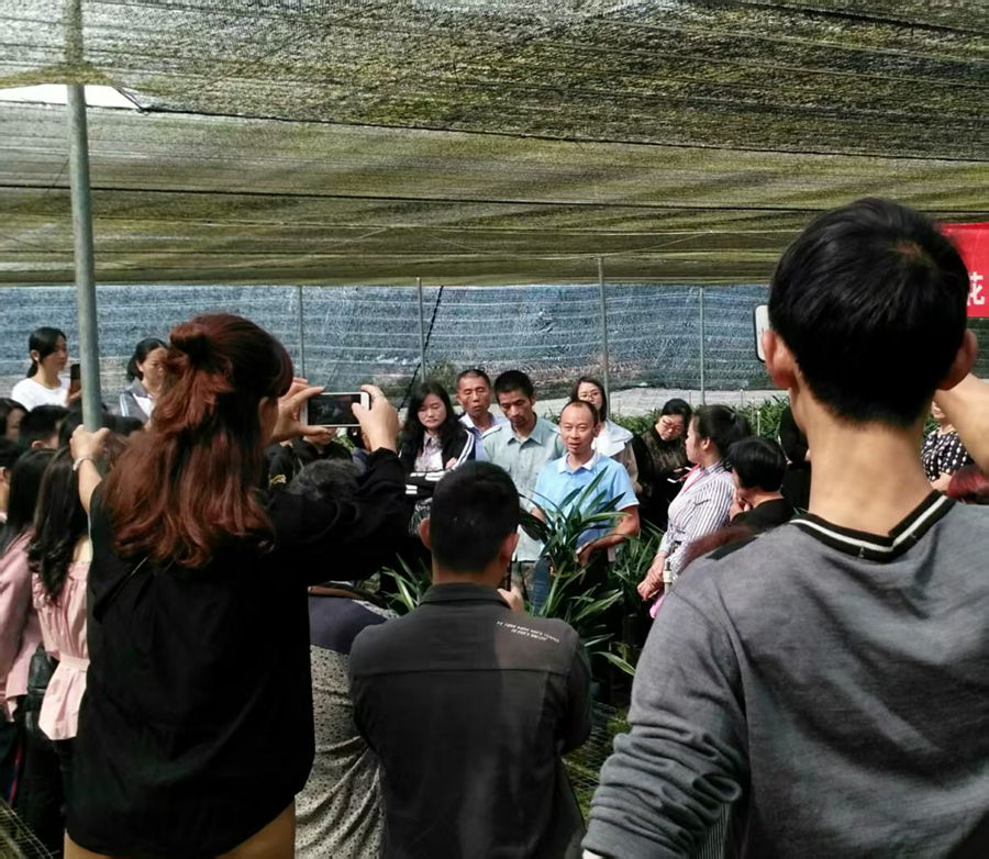 南靖县林业局党员干部组织南靖兰花协会技术骨干深入兰园，向兰农传授养兰技术。南靖县融媒体中心供图