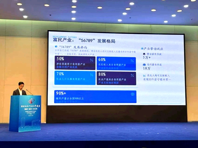 活动现场