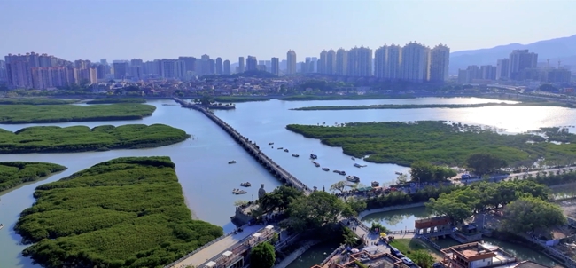 洛阳桥