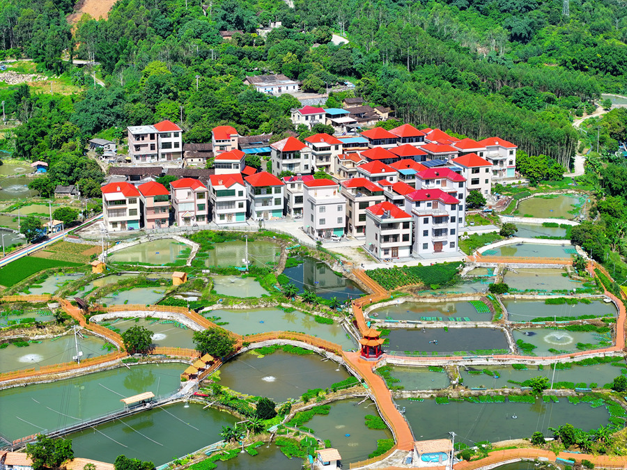 位於長泰區的一處光魚養殖基地。長泰區融媒體中心供圖