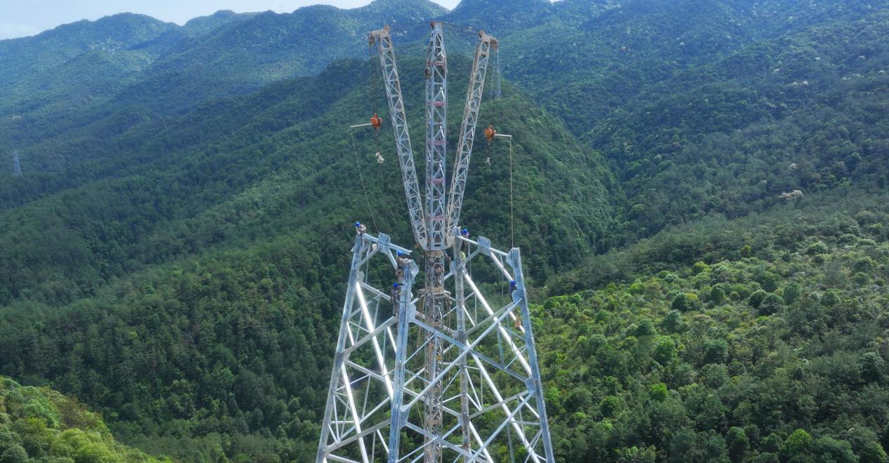 福建省送变电工程有限公司施工人员采用落地双摇臂抱杆施工工艺精准吊运塔材，高效组立塔身。