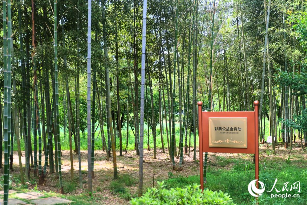 体彩公益金资助了寒泉精舍的修复工程。人民网 欧阳奕奕摄