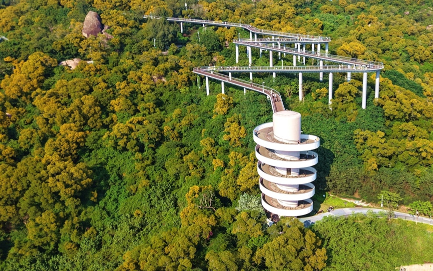 厦门：半山绿树半山金
