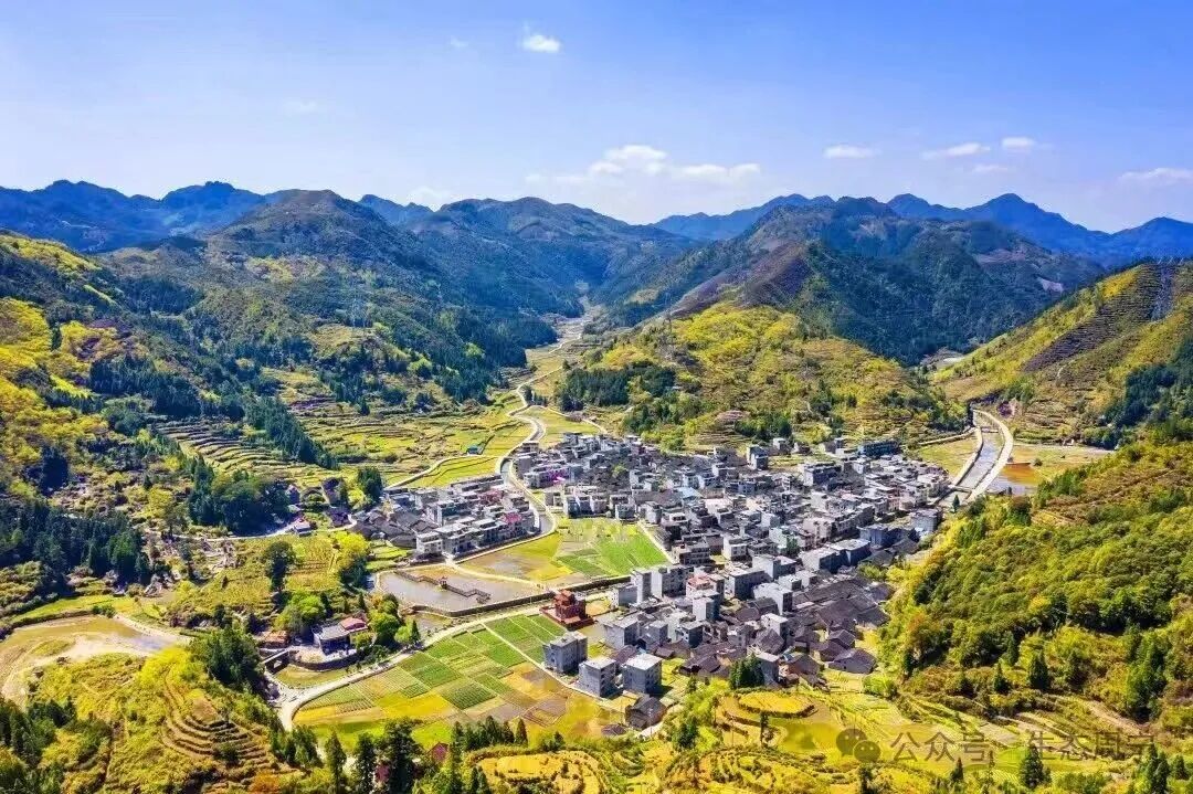 李墩镇际会村。叶先设摄