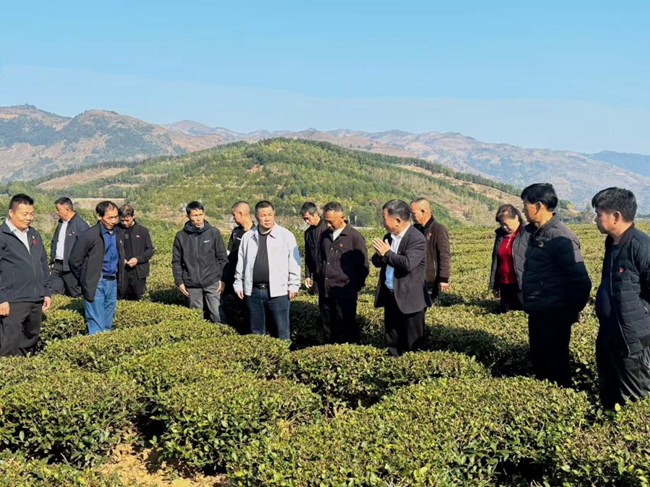 依托“返乡大讲堂”，为流动党员开展理论宣讲、传授制茶技艺