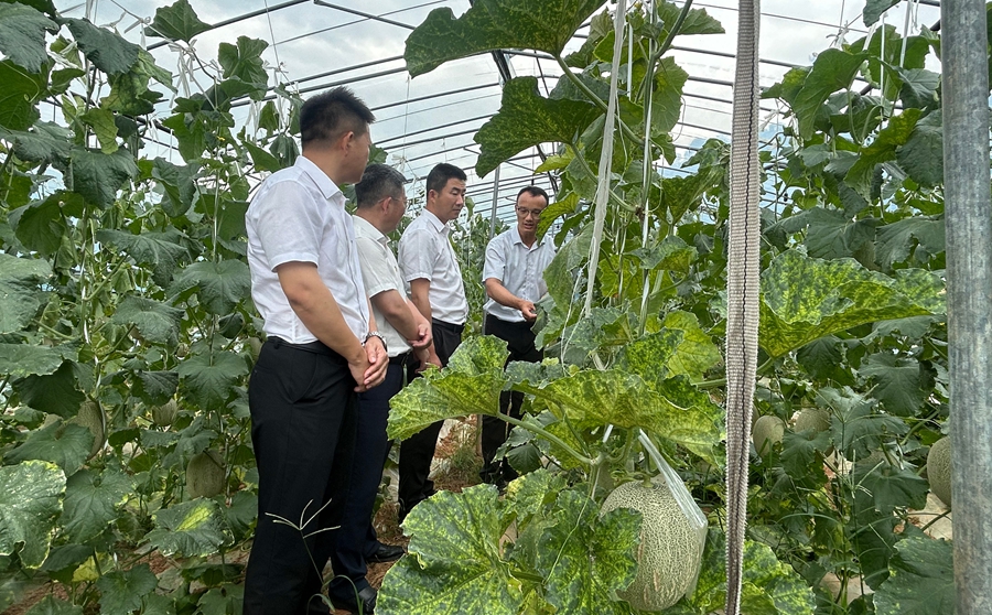 鄉村振興主題學習