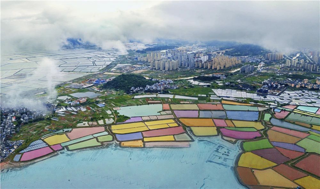 五彩滩涂。杨海芬摄