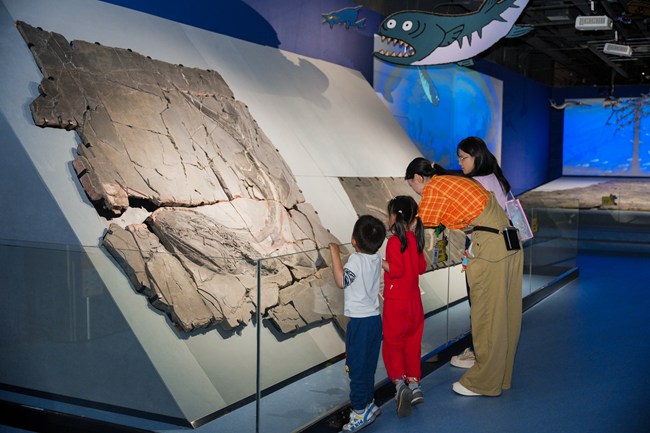 2026年4月《嗨！海怪》全新特展 汇集超百件珍稀化石、复原模。