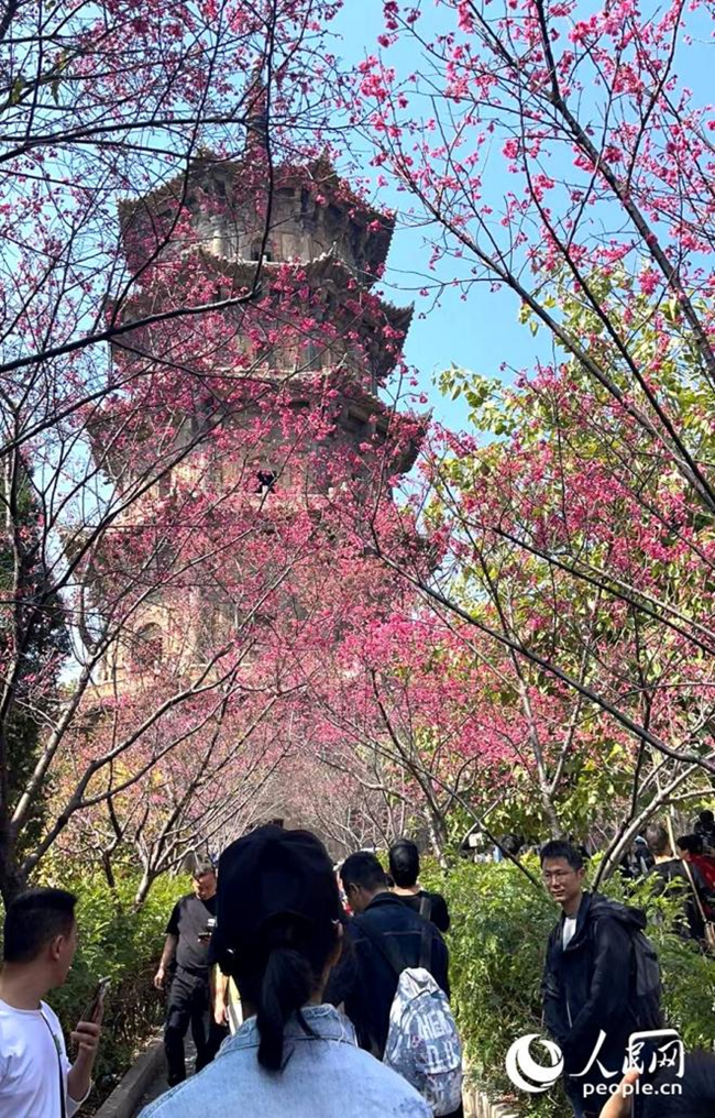 泉州古城吸引了來自全國各地游客前往打卡。人民網記者 陳藍燕攝