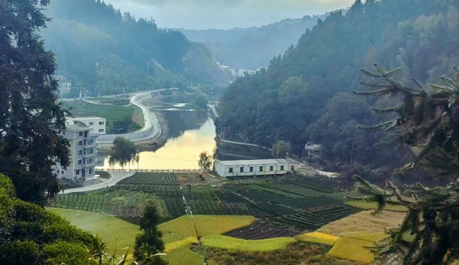 宁德寿宁：水清岸绿铺底色 治水兴村促振兴