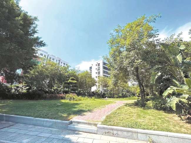 儲備用地改造口袋公園