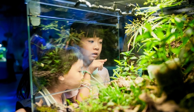 厦门诚毅自然探索馆7月3日全新开放