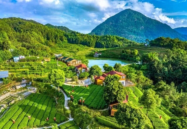 大宝峰茶庄园。李子宏摄
