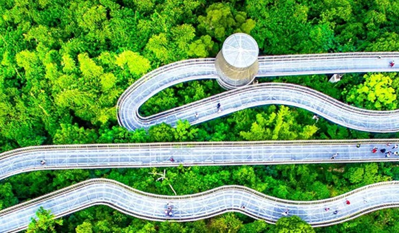 福建森林風景道精品旅游線路全新上線