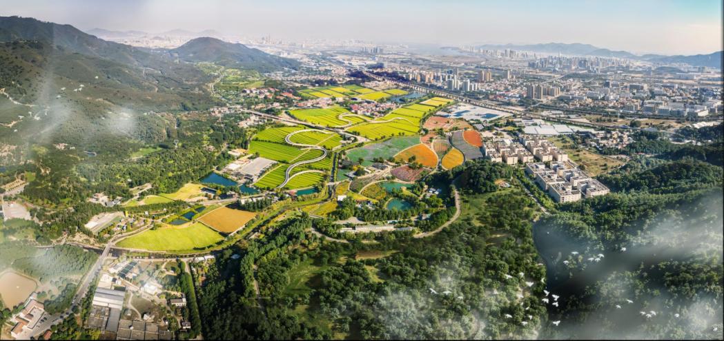 东孚全域土地综合整治项目