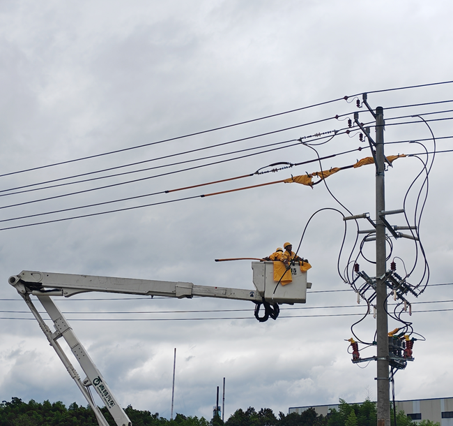 國網邵武市供電公司員工正在實施帶電作業。邱智華攝