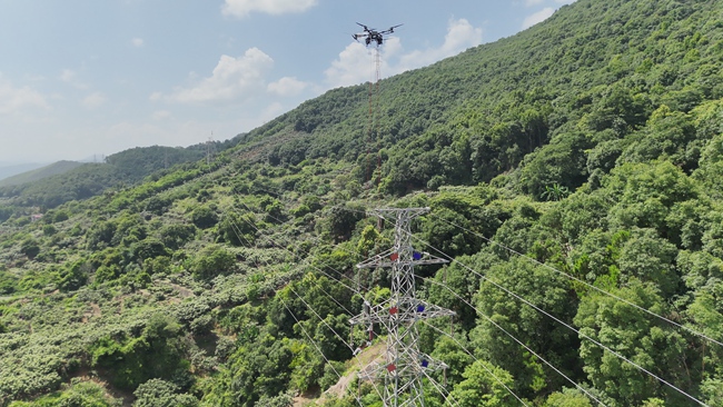 國網莆田供電公司完成首次無人機帶電安裝線路避雷器作業。李晨雄攝