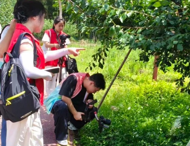 實踐隊探訪黃坊村富貴籽種植基地