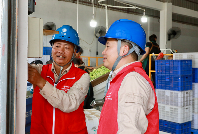 實地勘查用電需求。國網武平縣供電公司供圖