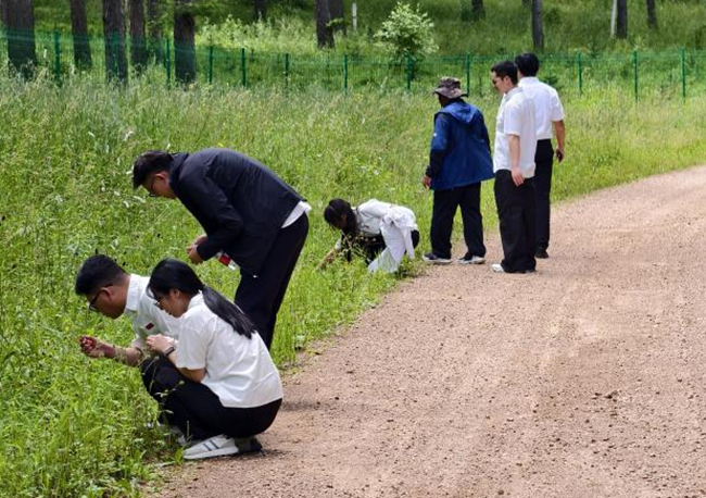 党建红领航林海绿闽冀高校实践队把“行走的思政课”搬进塞罕坝机械林场(图1)