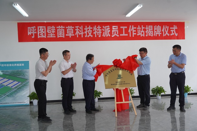 在新疆潤泰達農牧發展有限公司舉行呼圖壁菌草科技特派員工作站揭牌儀式。這是福建農林大學國家菌草工程技術研究中心牽頭設立的全國首個菌草科技特派員工作站。