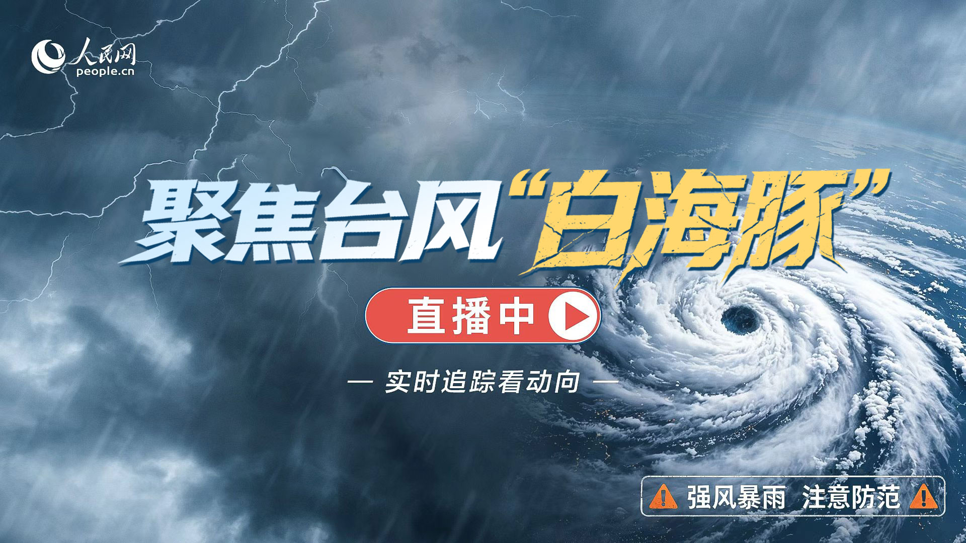 聚焦台風“白海豚”