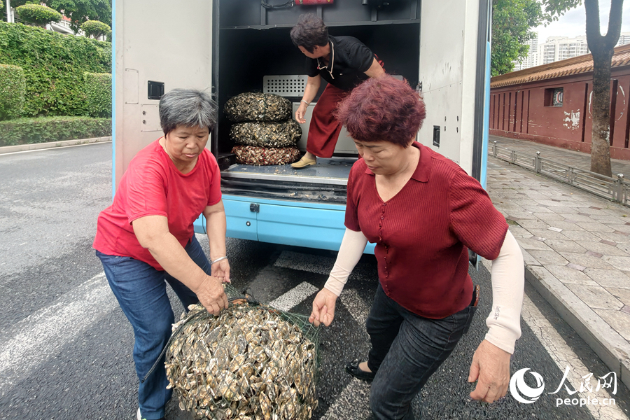 渔民们将生鲜海蛎从“专线”公交车货仓中取出。人民网记者 陈博摄