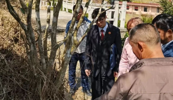 安溪檢察：以法治之力守護千年茶鄉山水文脈