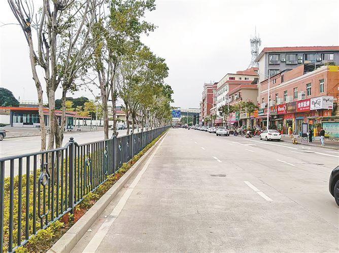 新增设的隔离护栏，将双向车道分开。（治理后）