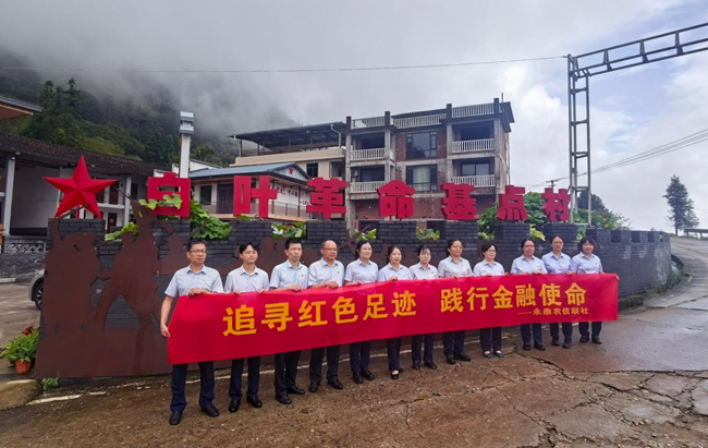 永泰農信聯社第一黨支部黨員在赤錫鄉白葉村開展主題黨日活動