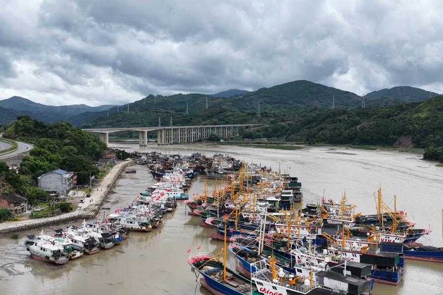 為防御台風，寧德市全部漁船在安全區域停靠。福鼎市融媒體中心供圖