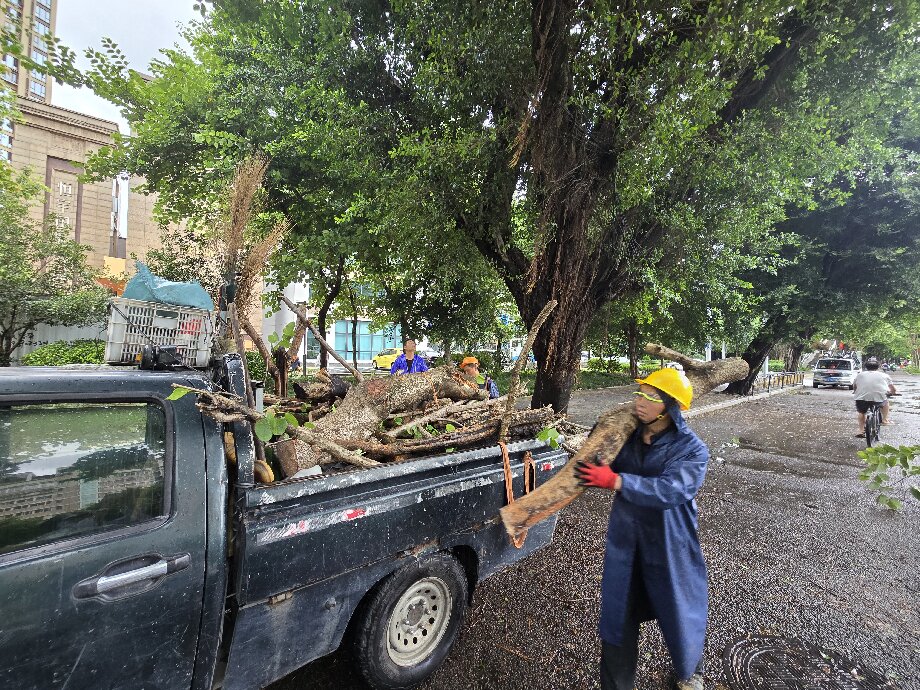 工作人員在福馬路上清理倒伏樹木。池遠攝