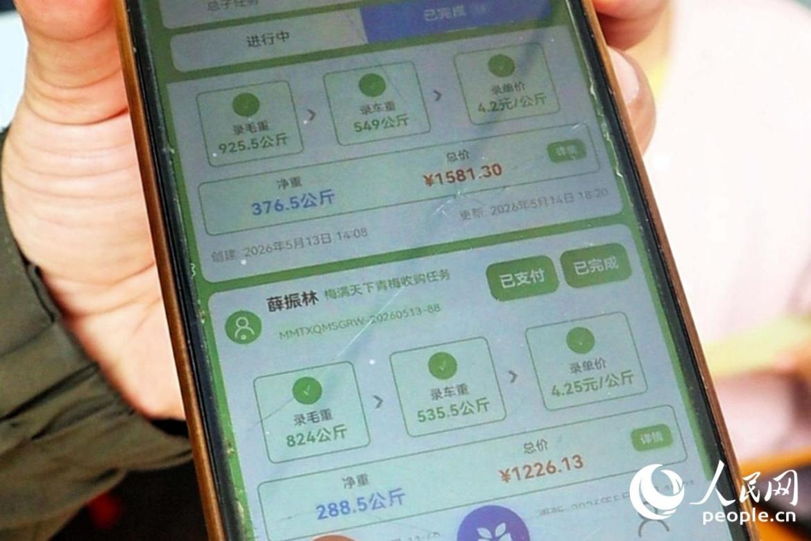 通過小程序，收購信息清晰可查。人民網 林銘賢攝