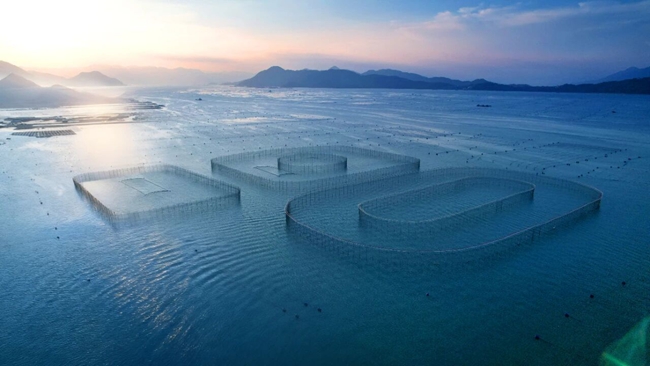 官井洋白基灣養殖基地