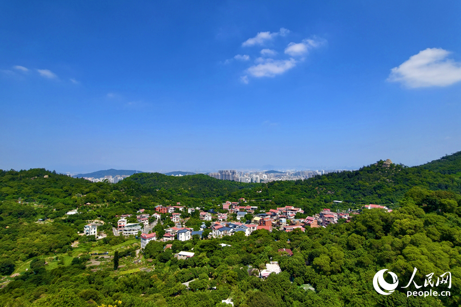 初秋的東坪山“廈門藍”頻現。人民網記者 陳博攝