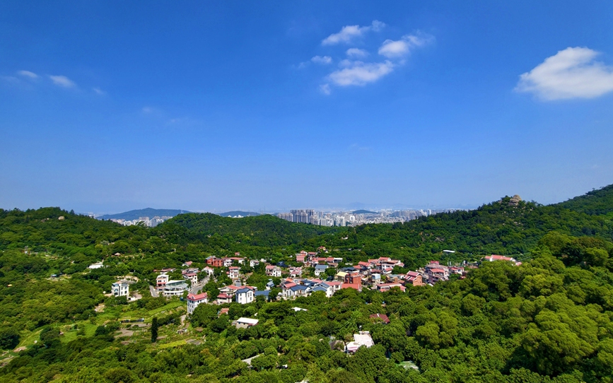 當東坪山邂逅“廈門藍”