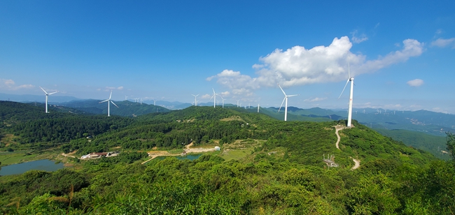 青林風電場