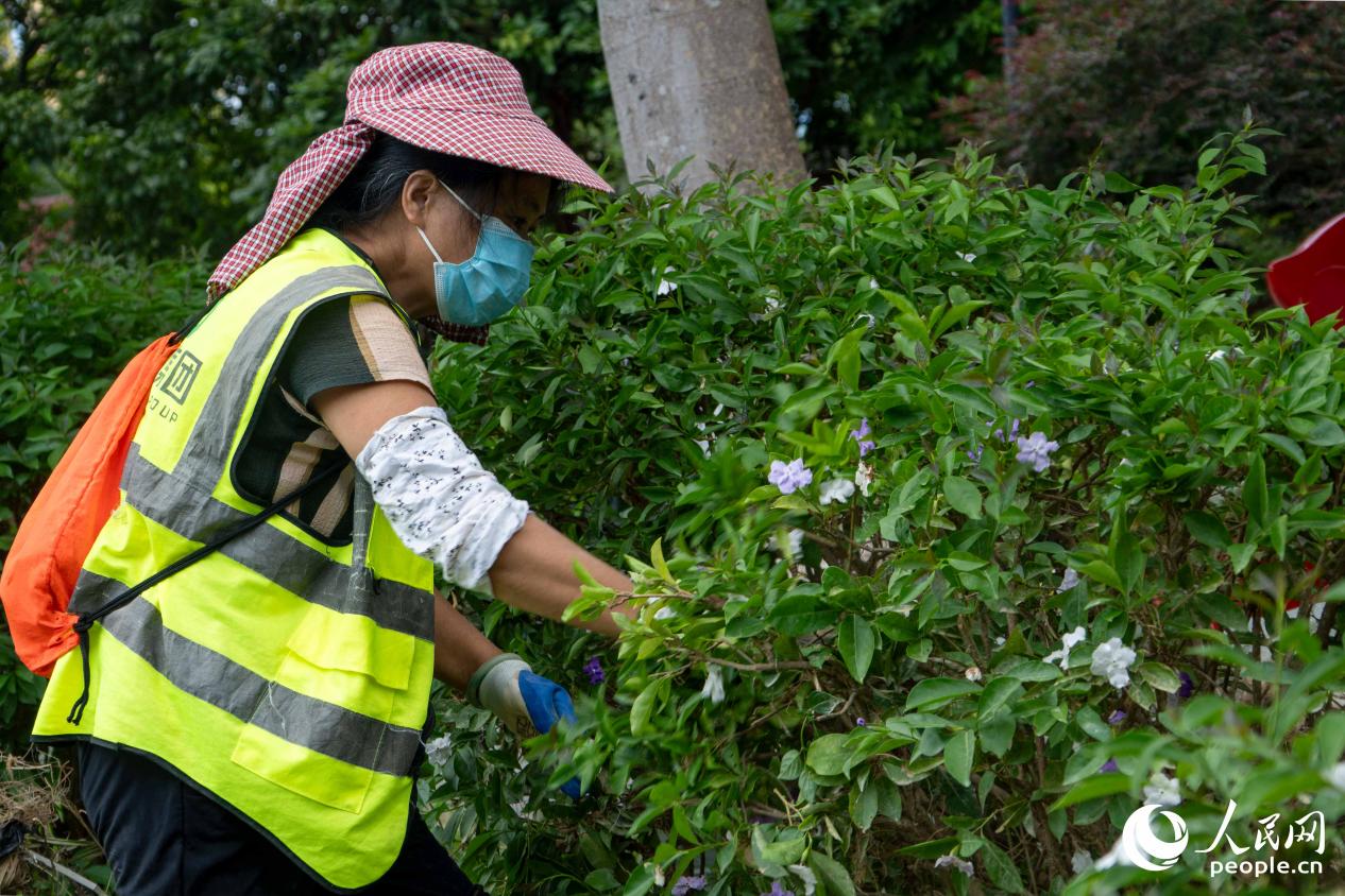 部分清理工作需要人工操作。人民网 林铭贤摄
