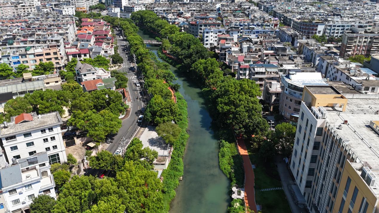 龙山溪水质稳定向好，两岸绿化景观明显改善