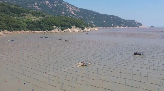 海上“秋耕”忙