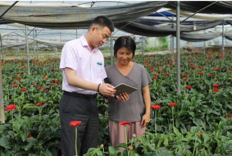 鮮切花是清流台灣農民創業園特色產業，台創園支行工作人員手持移動設備，將外匯便利化政策送至田間地頭。