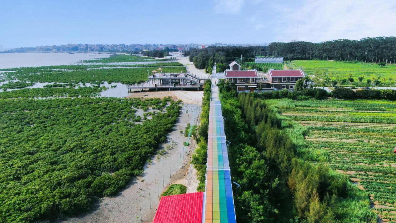 零碳绘新景——国网湄洲岛供电公司助力“零碳岛”建设(图2)