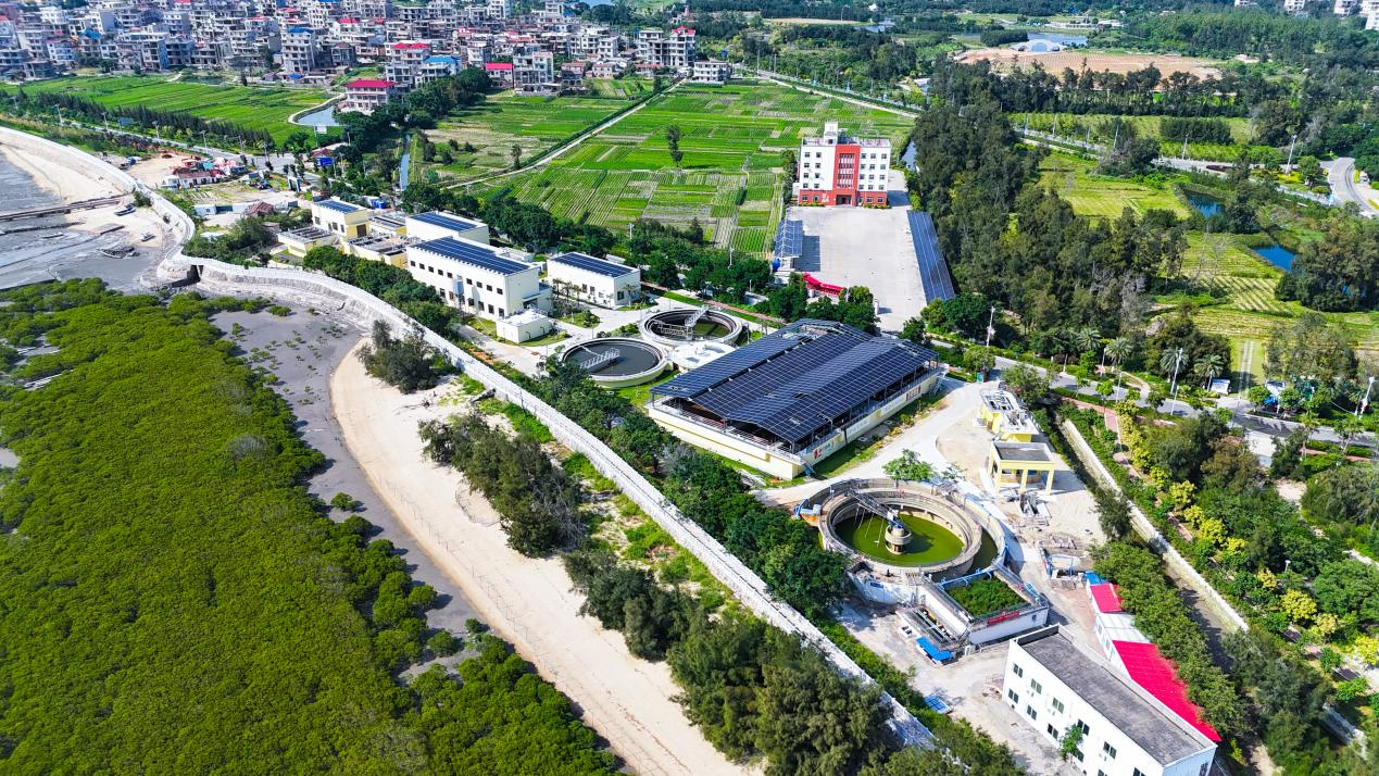 零碳绘新景——国网湄洲岛供电公司助力“零碳岛”建设(图3)