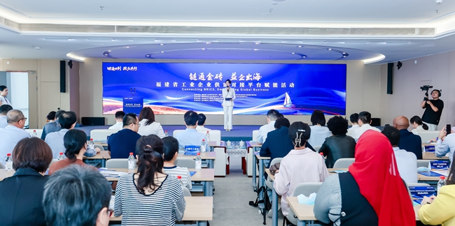 活动现场。主办方供图
