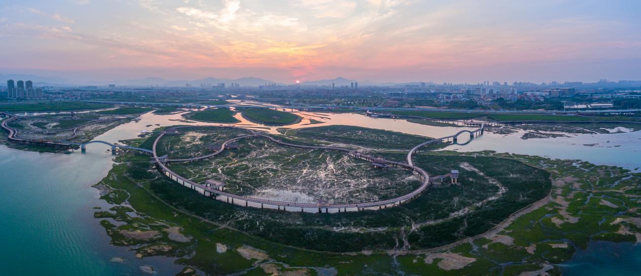 翔安下潭尾红树林公园。陈卫华摄