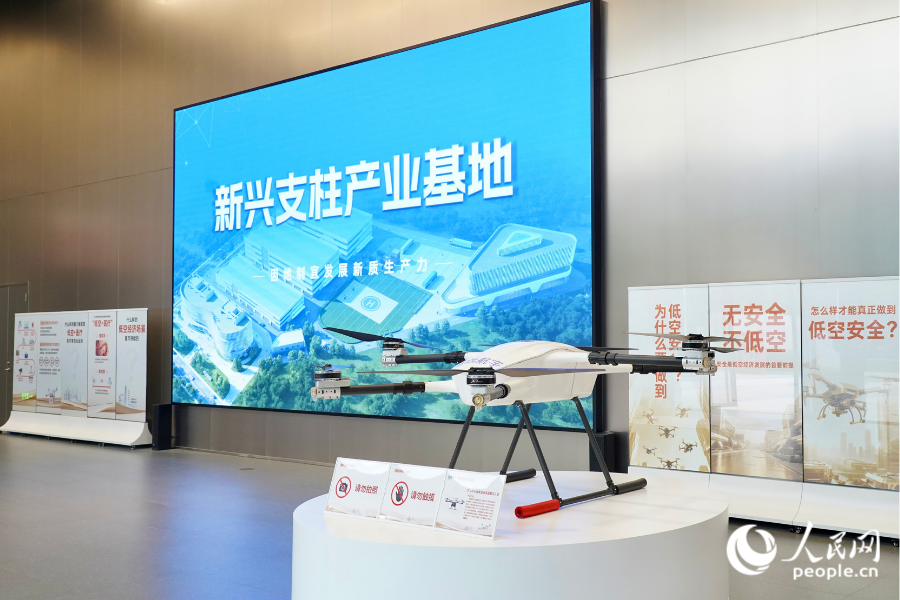 基地一楼展厅入口处，两侧分别摆放着“低空安全”与“低空+医疗”的海报展板。人民网记者 兰志飞摄