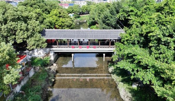龙山溪的“变”与“守”——一条穿城河的治理答卷