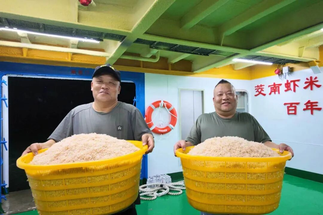 閩連漁冷60266號船上加工好的蝦皮