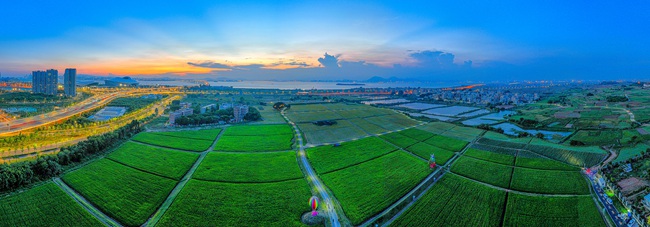西岩山高标准农田全景。