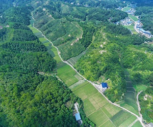 行進中國
